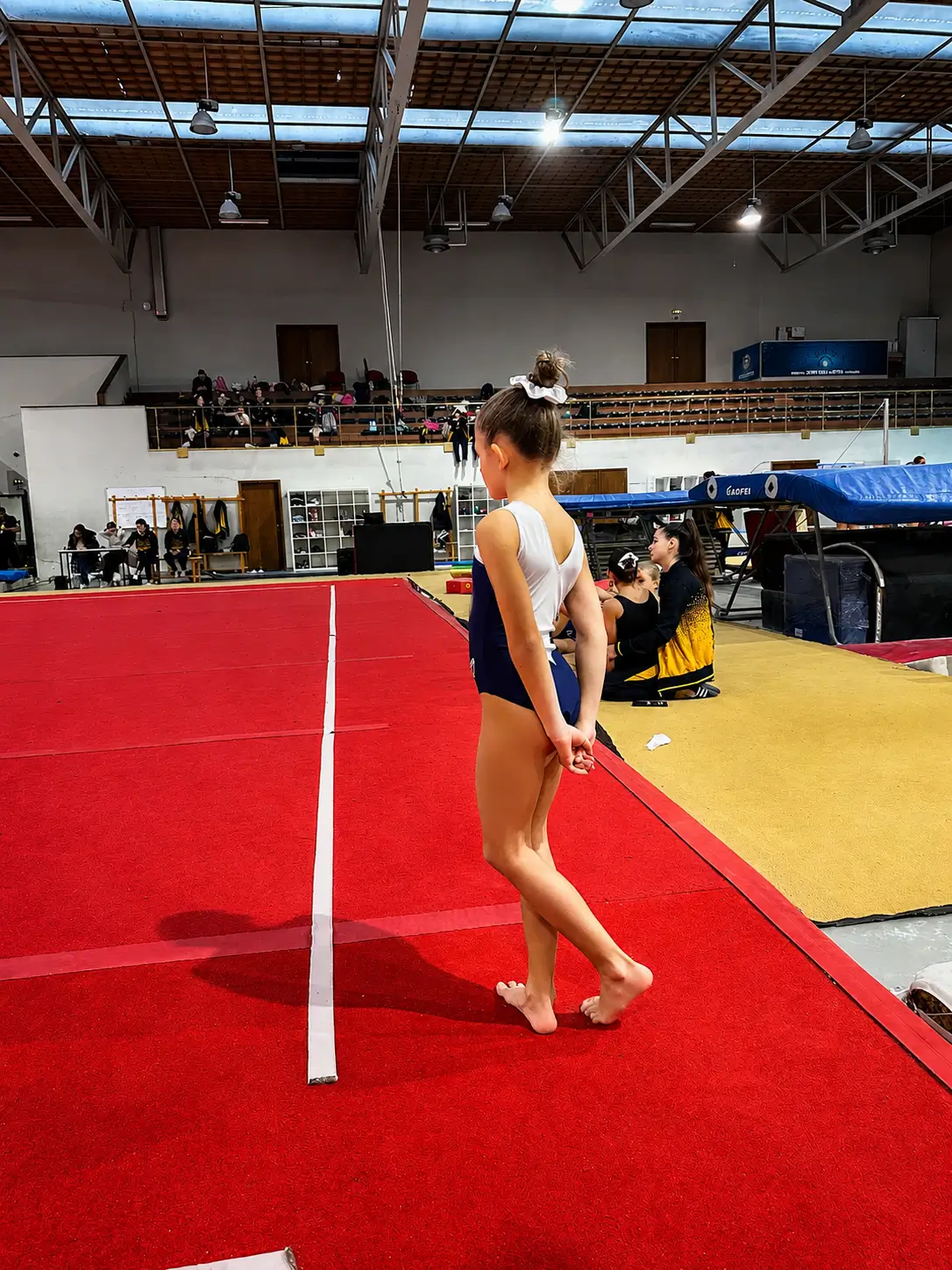 Escola de Ginástica Braga Artigym Espetáculo