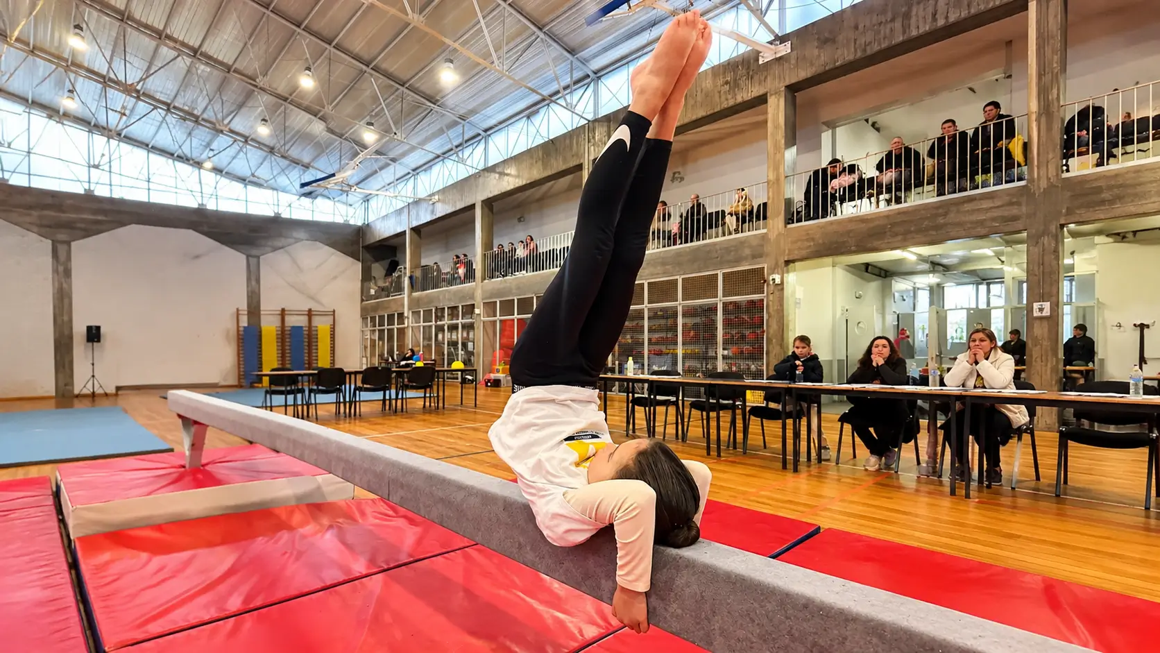 GoGym Artigym Escola de Ginástica de Braga